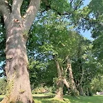 Le Domaine De La Briandais, Experience De Sobriete Electromagnetique