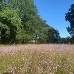 Le Domaine De La Briandais, Experience De Sobriete Electromagnetique Szálloda 3*