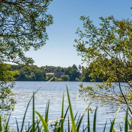 Le Domaine De La Briandais, Experience De Sobriete Electromagnetique