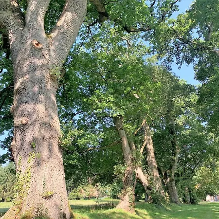 Le Domaine De La Briandais, Experience De Sobriete Electromagnetique
