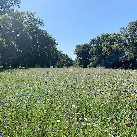 Le Domaine De La Briandais, Experience De Sobriete Electromagnetique Missillac