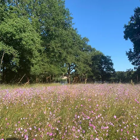Le Domaine De La Briandais, Experience De Sobriete Electromagnetique Ξενοδοχείο 3*