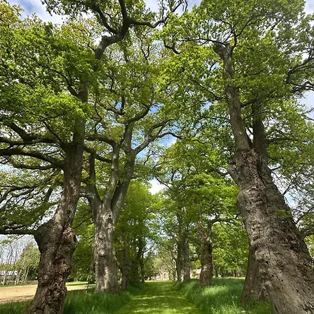 Le Domaine De La Briandais, Expérience De Sobriété électromagnétique 3*