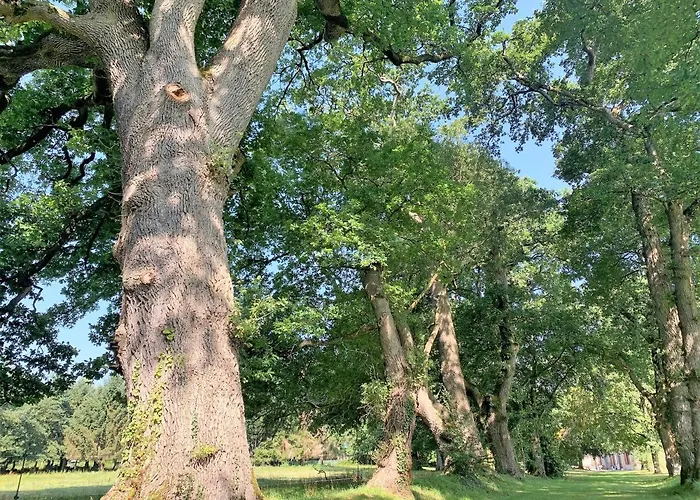 Le Domaine De La Briandais, Experience De Sobriete Electromagnetique