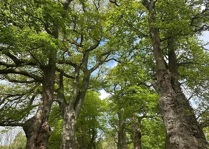 Le Domaine De La Briandais, Experience De Sobriete Electromagnetique 3*