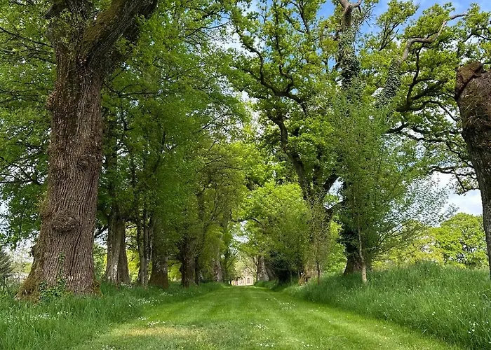 Le Domaine De La Briandais, Experience De Sobriete Electromagnetique 米西亚克